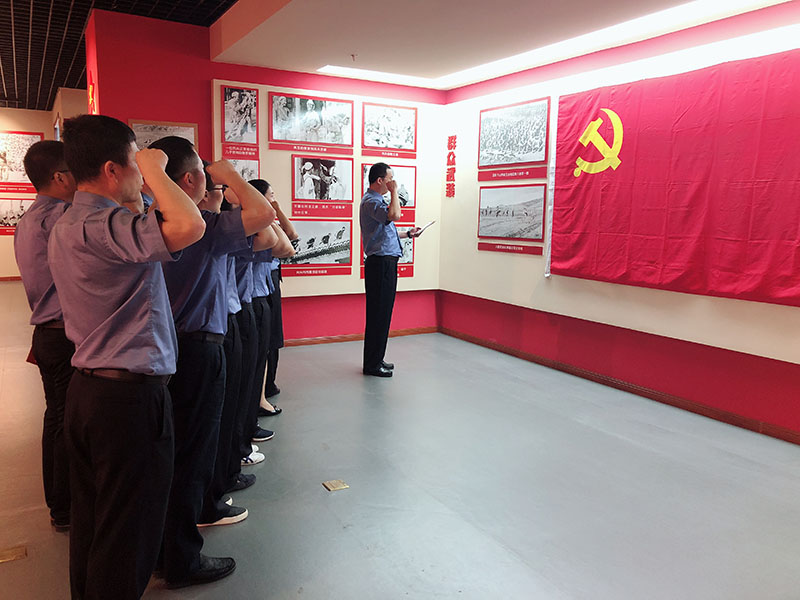 不一样的党日1