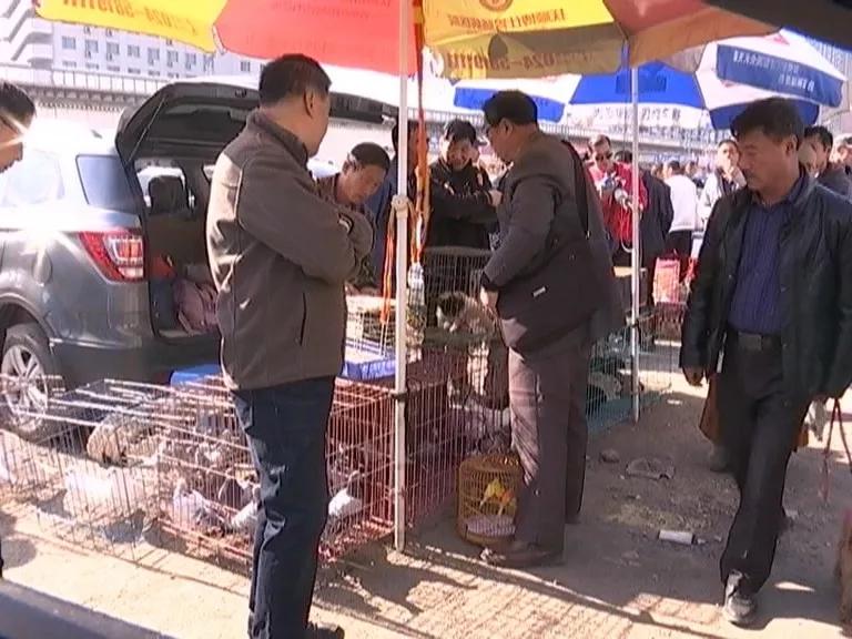 联合执法人员正在进行突击检查