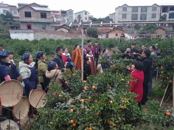 W020181229386967830908