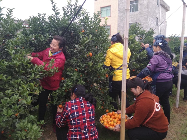 W020181229386969024880