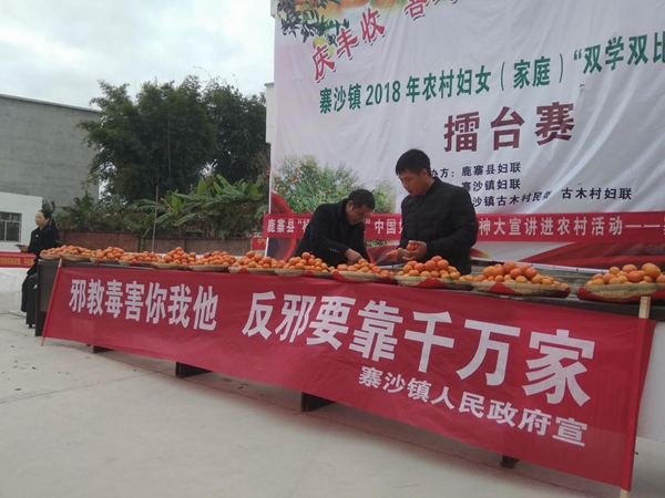 W020181229386970523601