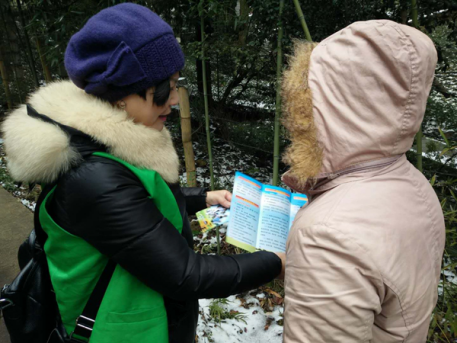 W020190104333510111617