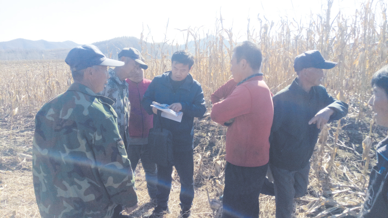 配文1：调解员在地头进行调解