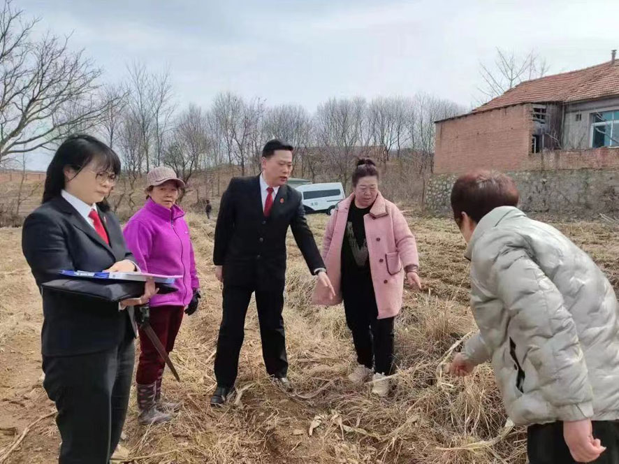 法官到田间地头了解案情。