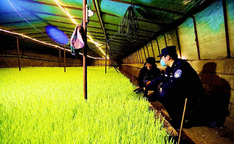 葫芦岛市公安局沿海安全保卫局季家屯沿海派