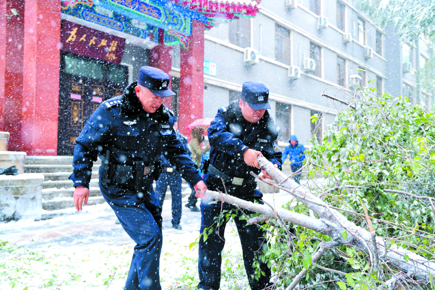 沈河公安民辅警清理树木断枝