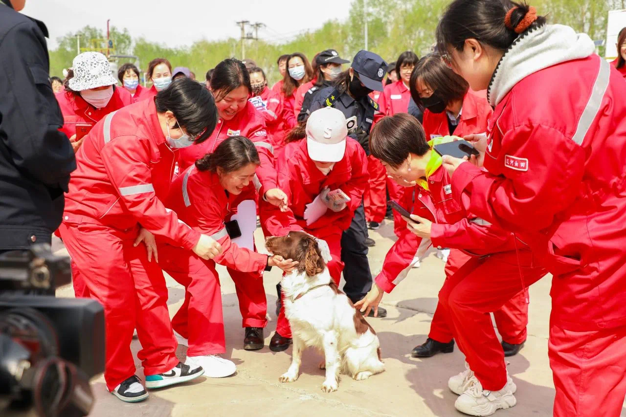 微信图片_202404300909003