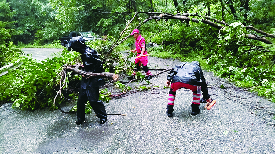 宽甸县雷霆救援队清理倒在路面的大树