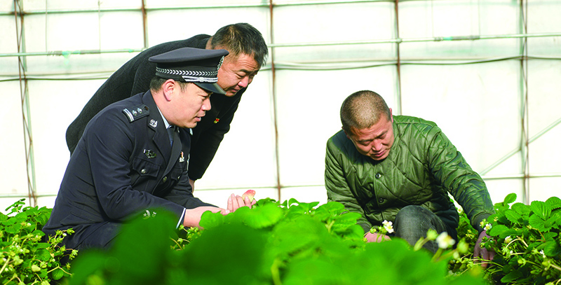 季元生（左一）在村子大棚里了解村民矛盾纠纷