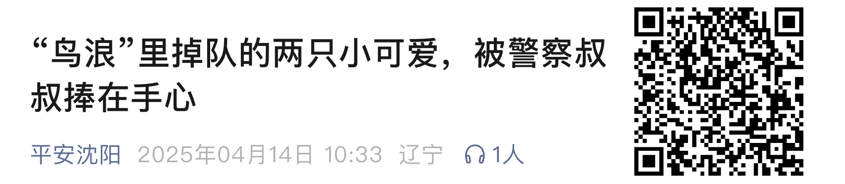 小鸟111