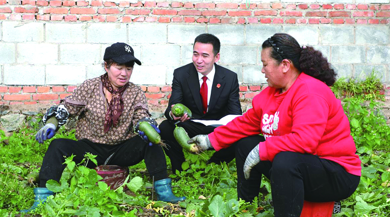 法官走进萝卜大棚普及销售环节法律风险防范知识