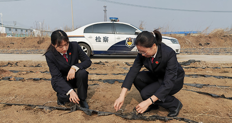 4月24日，检察干警在千金乡丁家村对农用地内废弃农用薄膜进行取证
