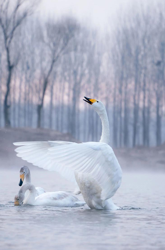 ScreenShot_2026-02-02_090349_702