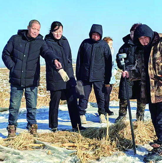 3苏家屯区法院林盛法庭法官王菲(左二)组织土地纠纷案件的双方当事人和村干部一起查找土地四至边界