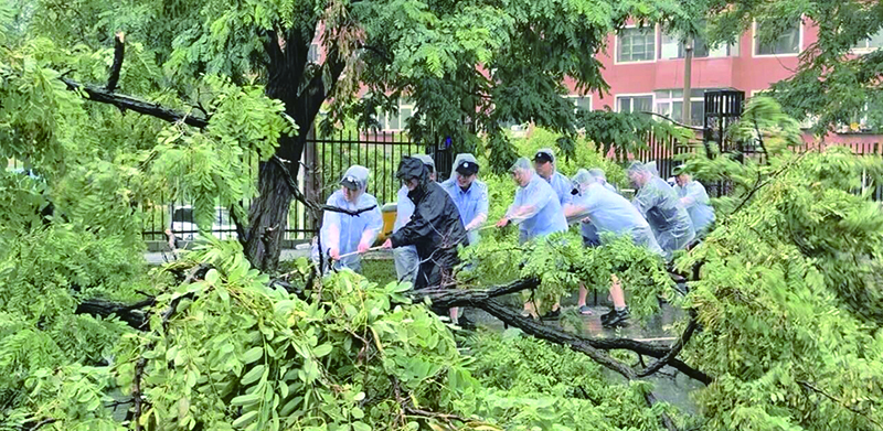 鞍山市公安局立山分局全警下沉一线，加强社区隐患和路面风险动态排查。巡查中发现被吹倒树木，迅速集结警力采取“短锯锯断、人工搬运、绳索拉拽”方式进行清理，快速恢复道路通行，并协调相关部门跟进处理。